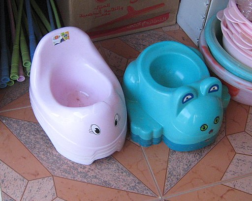 what age potty training